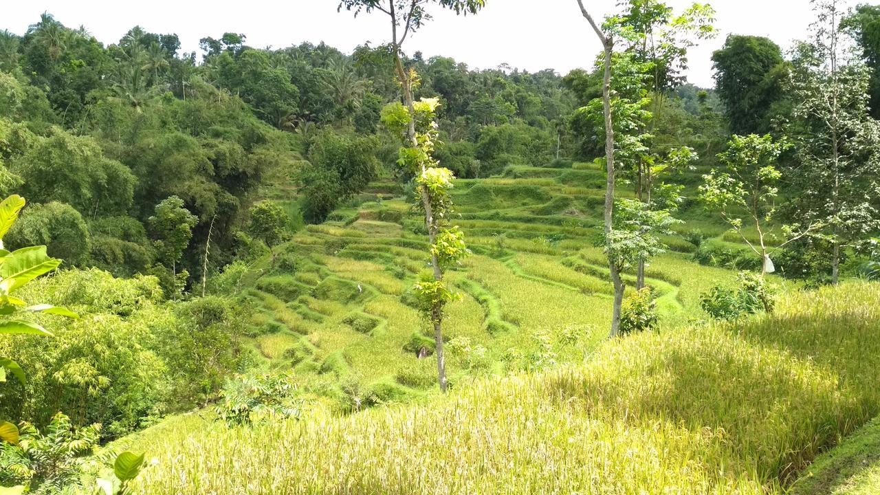 Kembang Kuning Cottages เตเตบาตู ภายนอก รูปภาพ